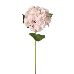 Blush Real Feel Hydrangea with Leaves nationwide delivery www,lilybloom.ie