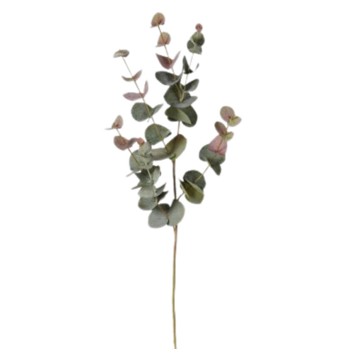 Blush Eucalyptus Spray