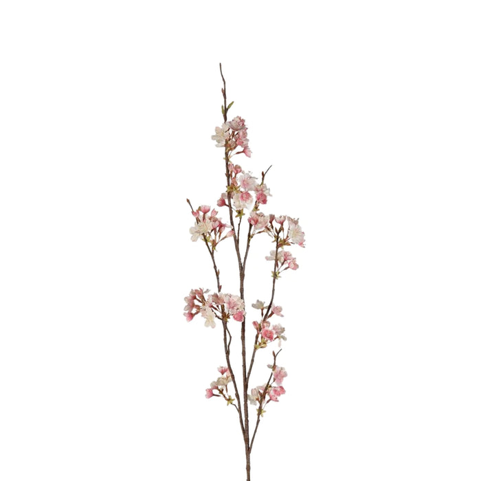 Cherry Blossom Stems Pink & Cream