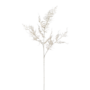 Cream Asparagus Spray nationwide delivery www.lilybloom.ie