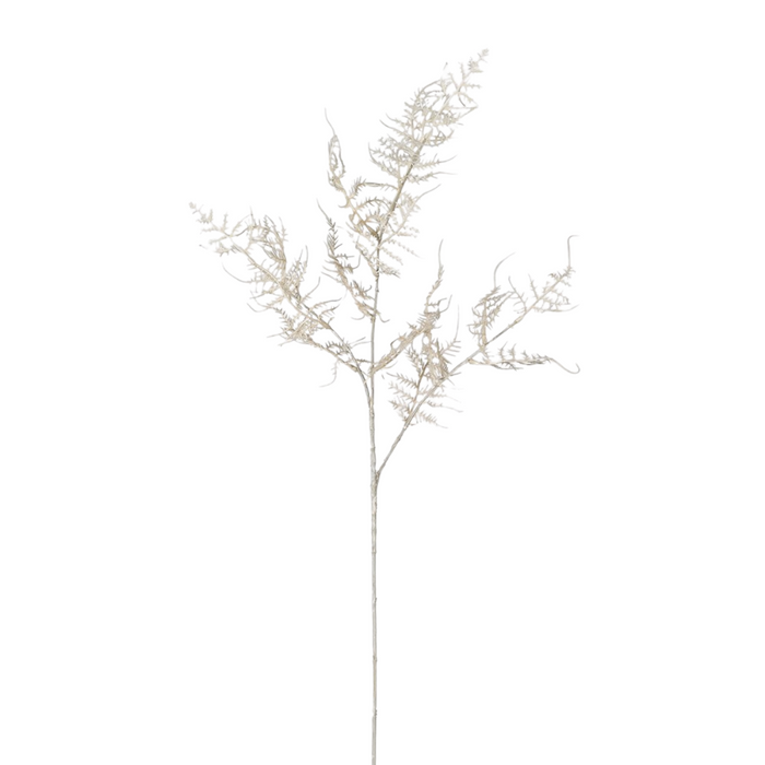 Cream Asparagus Spray