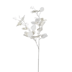 Cream Eucalyptus Spray