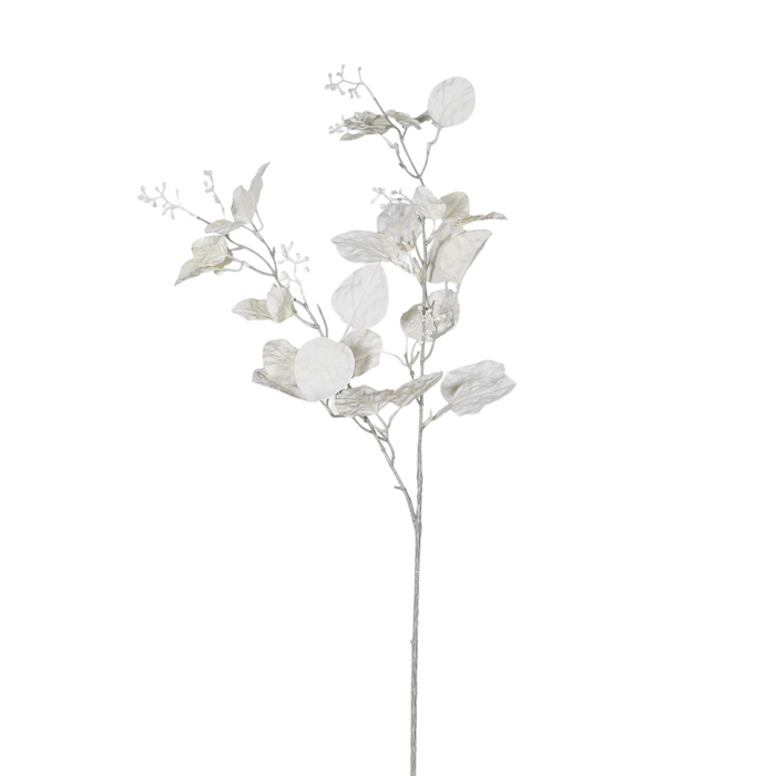 Cream Eucalyptus Spray