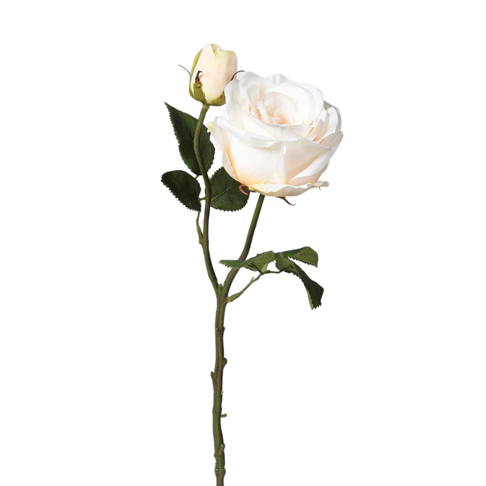 Creamy Peach Rose Spray