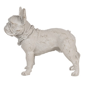 Decorative Dog nationwide delivery www.lilybloom.ie