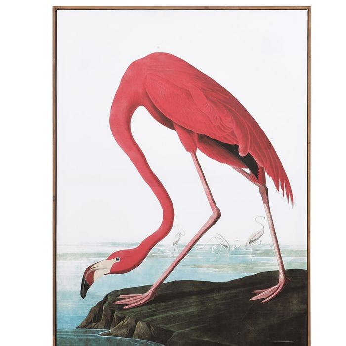 Flamingo Picture