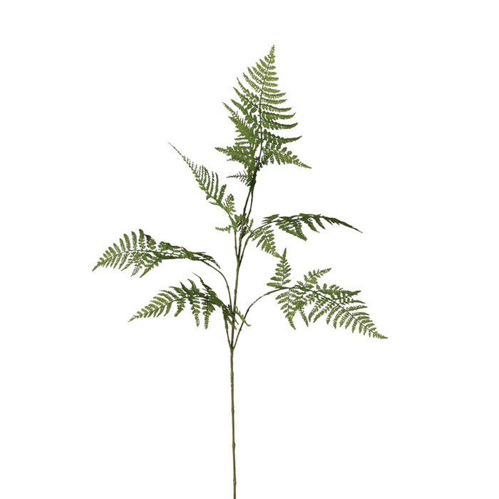 Asparagus Fern Spray (Green)