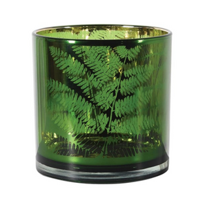 Green Fern Hurricane Jar nationwide delivery www.lilybloom.ie