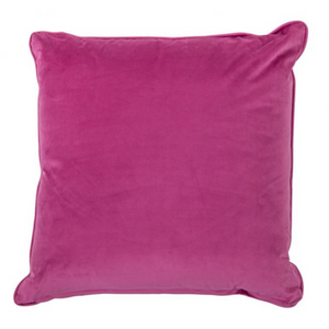 Heritage Dragon Fly Cushion  delivery nationwide www.lilybloom.ie