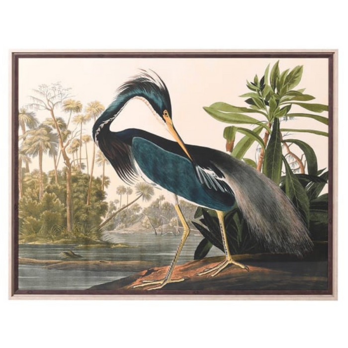 Heron Picture Landscape