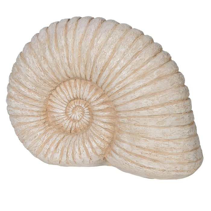 Large Ammonite Shell Decoration