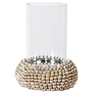 Large Green Shell Candle Holder nationwide delivery www.lilybloom.ie