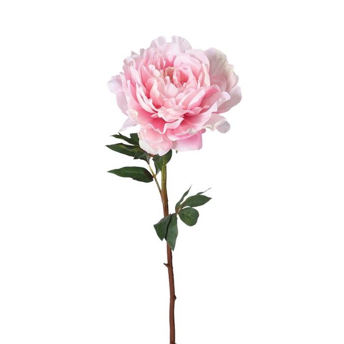 Large Pink Peony Spray