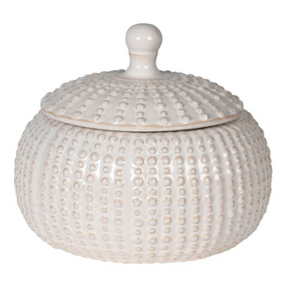 Large White Squat Jar with Lid nationwide delivery www.lilybloom.ie