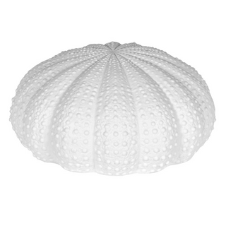_Large White Urchin Decoration nationwide delivery www.lilybloom.ie