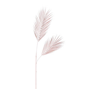 Light Pink Fern Spray nationwide delivery www.lilybloom.ie