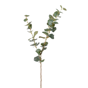 Natural Eucalyptus Spray nationwide delivery www.lilybloom.ie