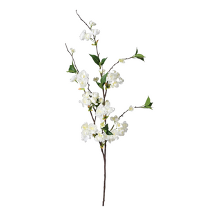 _Off White Peach Blossom with Leaves nationwide delivery www.lilybloom.ie