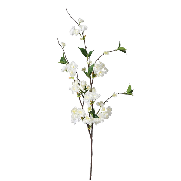 Off White Peach Blossom with Leaves