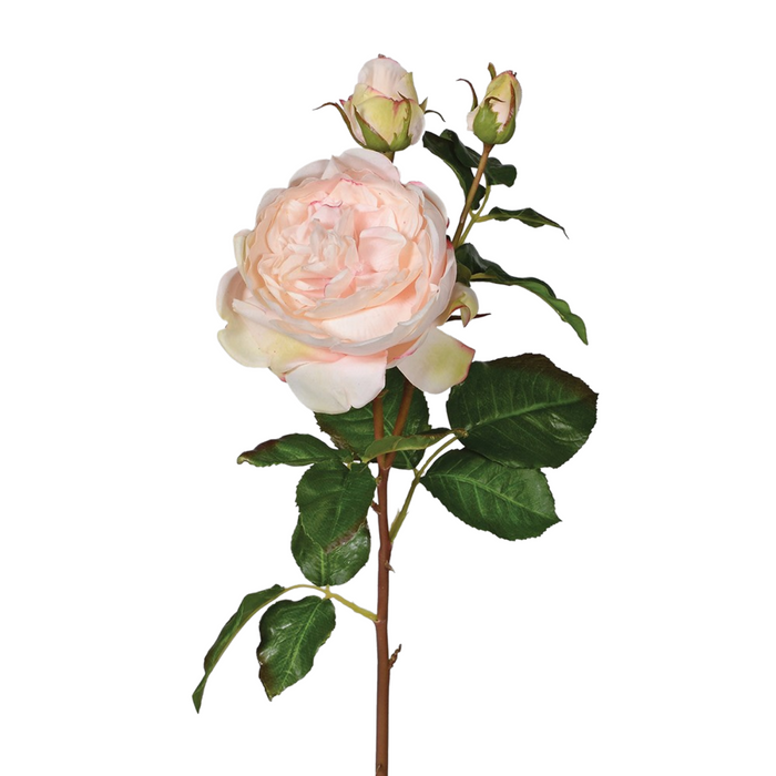 Pale Pink Real Feel Rose Spray with Buds and Leaves