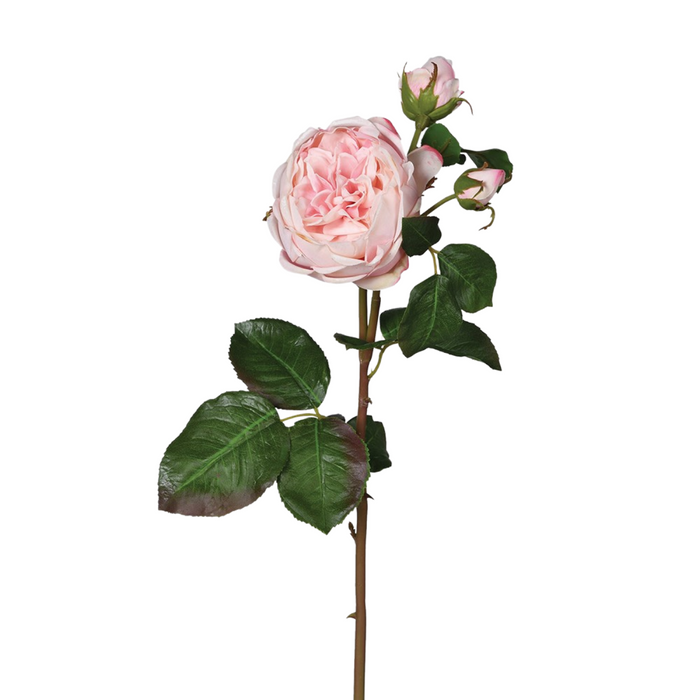 Real Feel Pink Rose