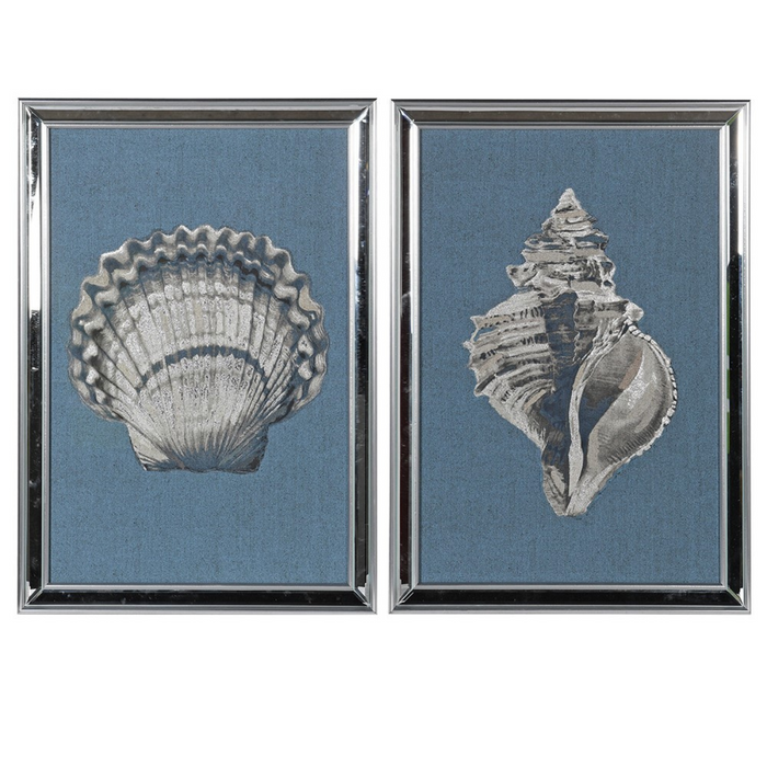 Set 2 Shell Prints