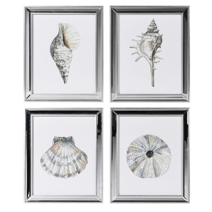 Set of 4 Shell Prints
