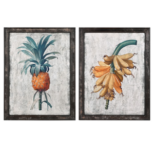 Set of 2 Botanical Framed Prints nationwide delivery www.lilybloom.ie