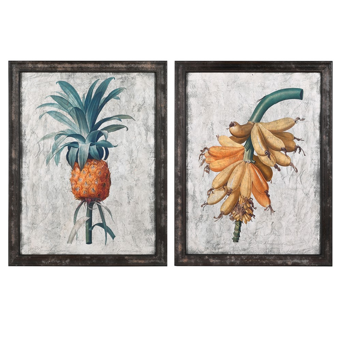 Set of 2 Botanical Framed Prints