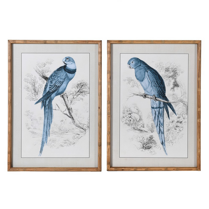 Set of 2 Framed Blue Parrot Pictures