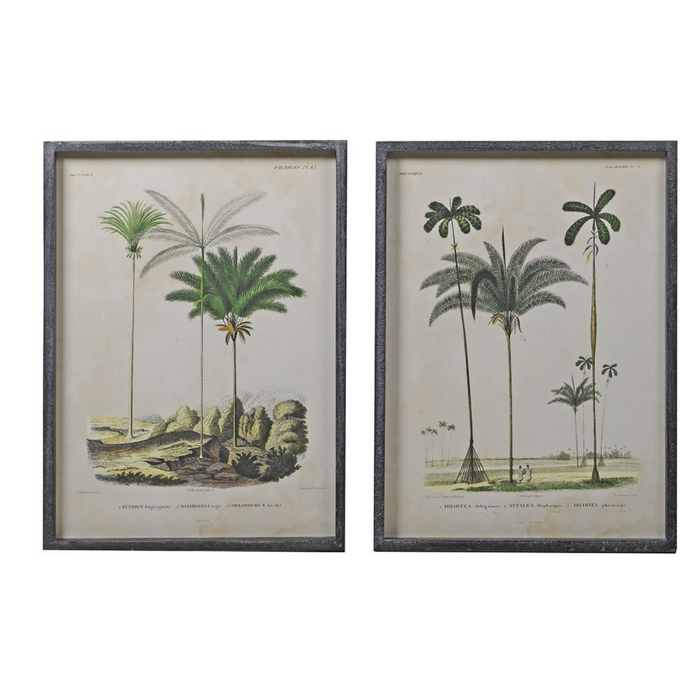Set of 2 Palm Tree Pictures
