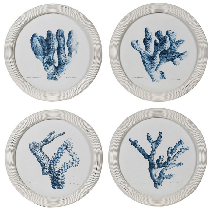 Set of 4 Blue Coral Pictures