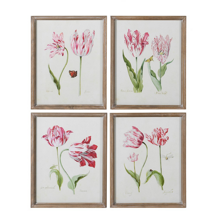 Set of 4 Framed Fuschia Tupina Pictures