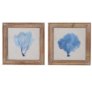 Set of Two Blue Coral Pictures nationwide delivery www.lilybloom.ie