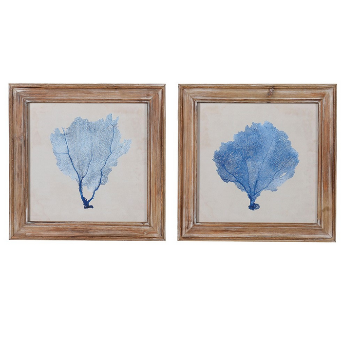Set of Two Blue Coral Pictures