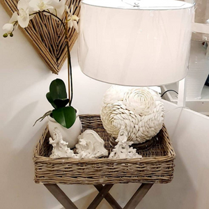 Shell flower table lamp nationwide delivery www.lilybloom.ie