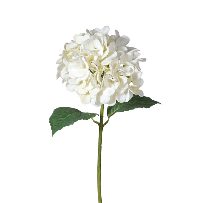 White Feel Real Hydrangea
