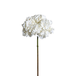 White Hydrangea Elegant with No Leaves delivery nationwide www.lilybloom.ie