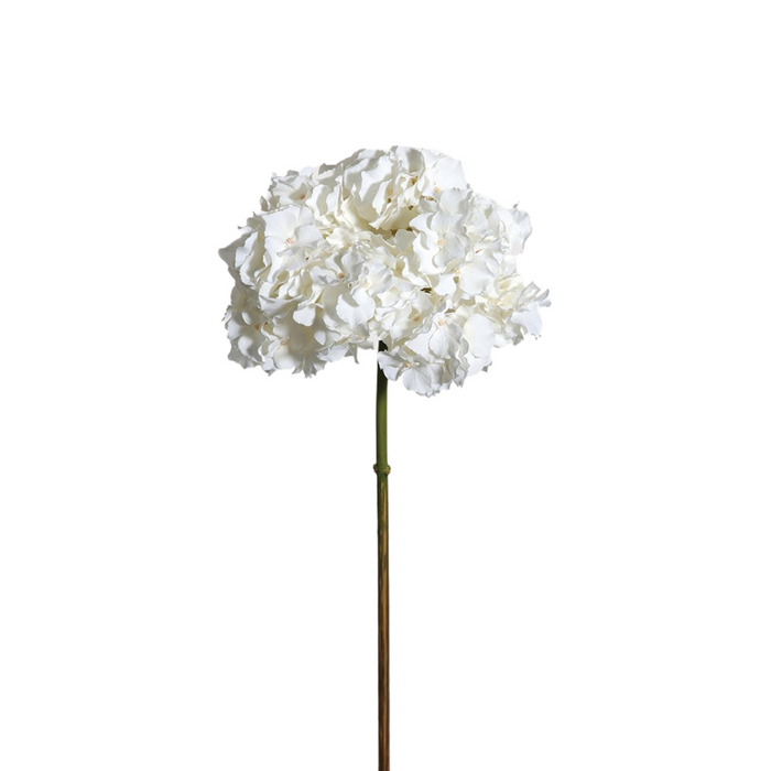 White Feel Real Hydrangea - no leaves