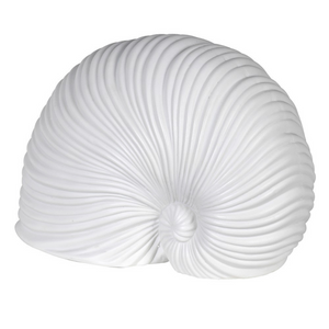 White Sea Snail Decoration nationwide delivery www.lilybloom.ie
