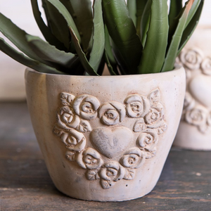 large cream terrocotta rose pot delivery nationwide www.lilybloom.ie